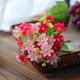 thumbnail image 1 of Flor artificial BuyWeek 28 flores decorativas realistas Seda, 1 of 1