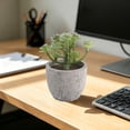 thumbnail image 4 of MMJ Artificial Potted Plants Faux Plants Small Plastic White Planter Tabletop Desk Home Office Decor 2.76x2.68x2.68in, 4 of 6