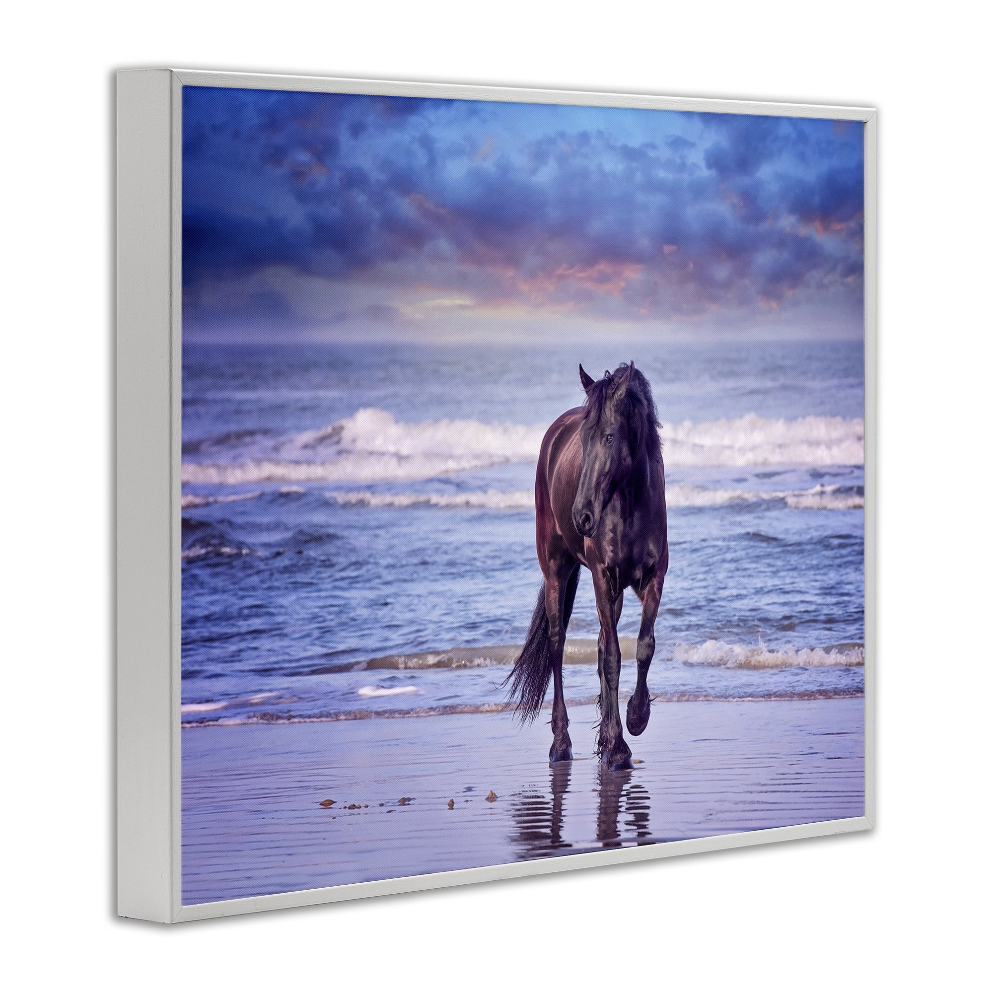 Stupell Industries Wild Horse on Beach Animals & Insects Photography White Framed Art Print Wall Art, 20 x 16