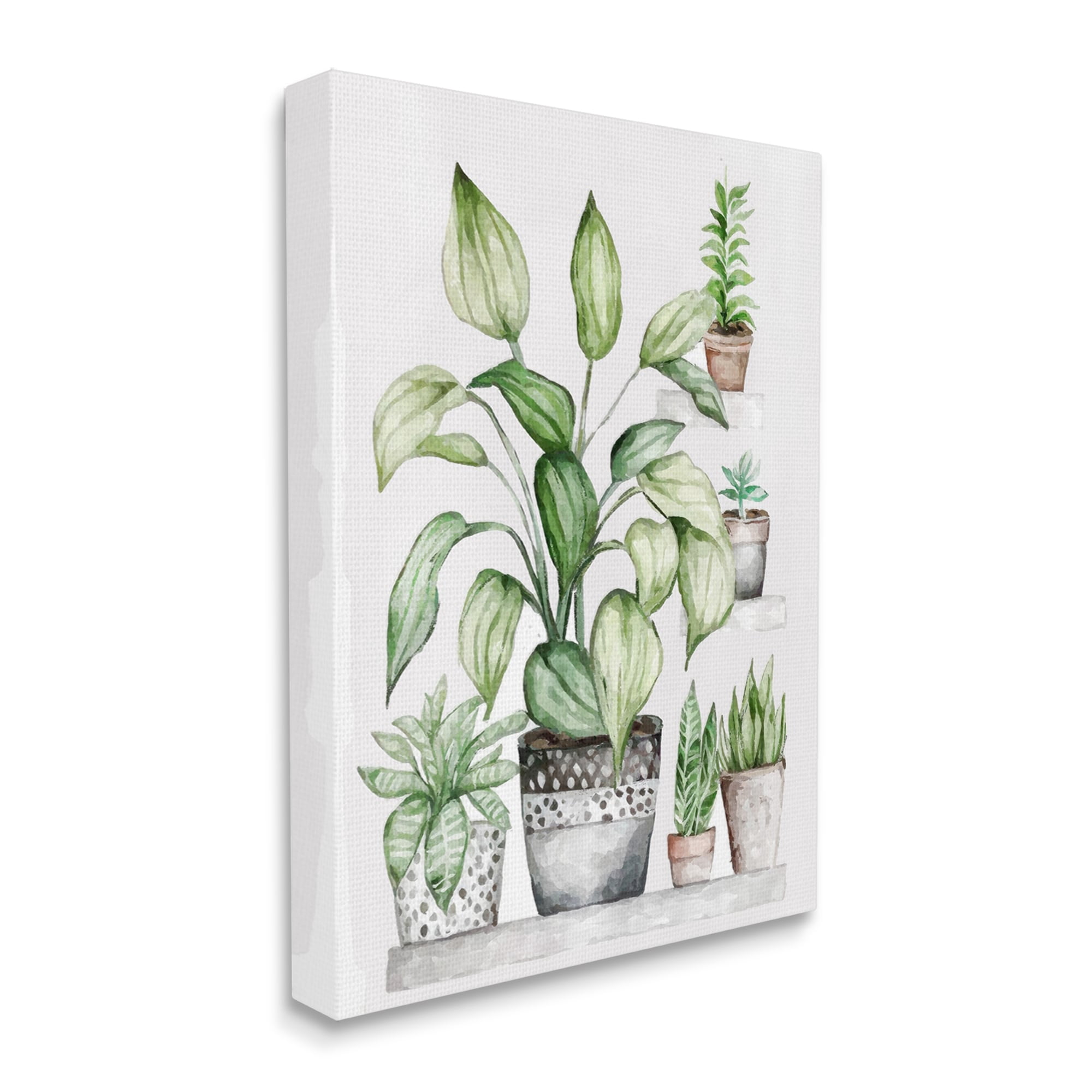 Stupell Industries Potted Plant Garden Botanicals Botanical & Floral Painting Gallery Wrapped Canvas Print Wall Art