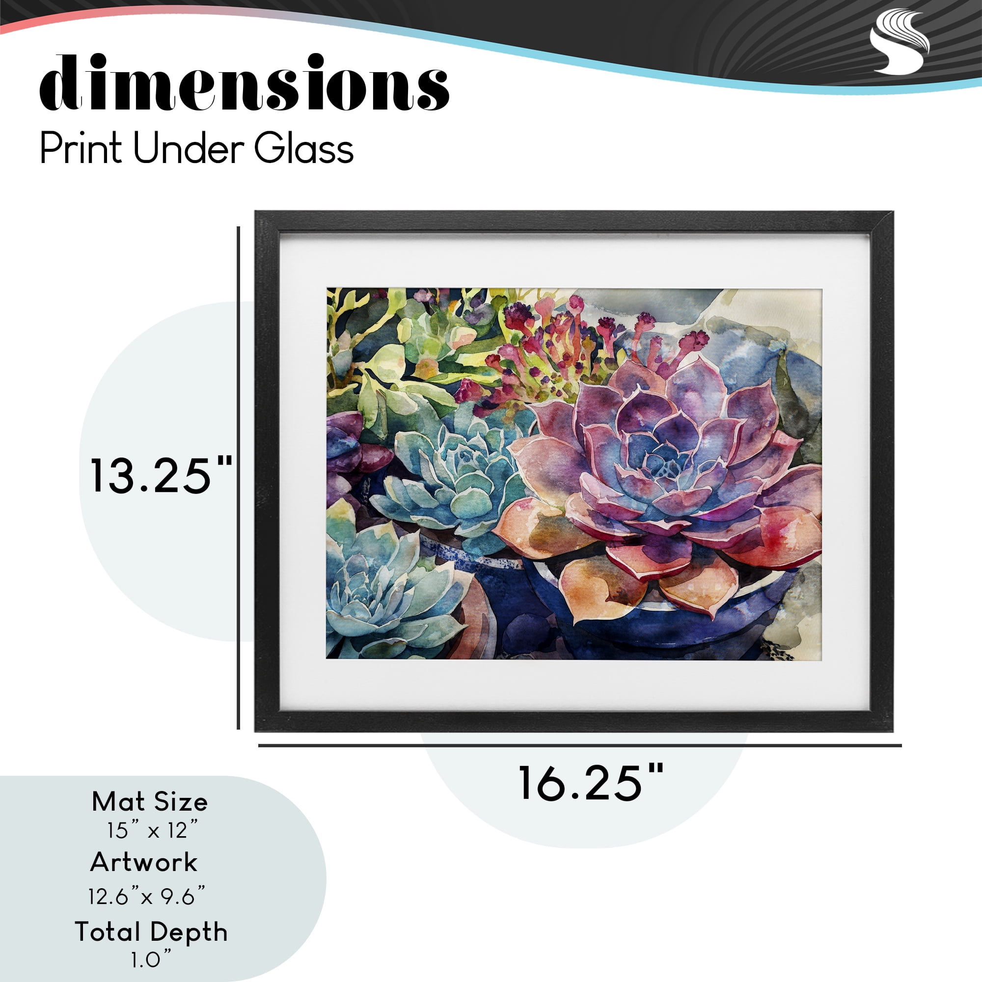 Stupell Industries Sun Kissed Succulents Black Framed Print Under Glass, design by Svetlana Aleynikova