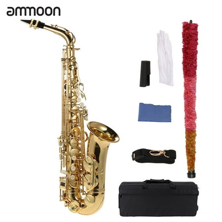 Kit de nettoyage pour saxophone alto 10 en 1 avec chiffon de