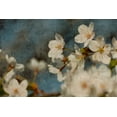 thumbnail image 2 of Cooke, William 24x17 White Modern Wood Framed Museum Art Print Titled - Early Dew, 2 of 4
