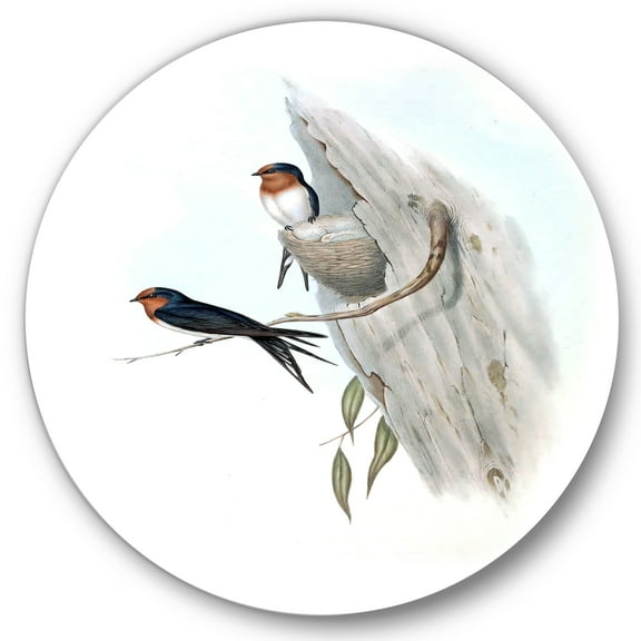 Designart 'Ancient Australian Bird Illustrations II' Traditional Circle Metal Wall Art 36x36 - Disc of 36