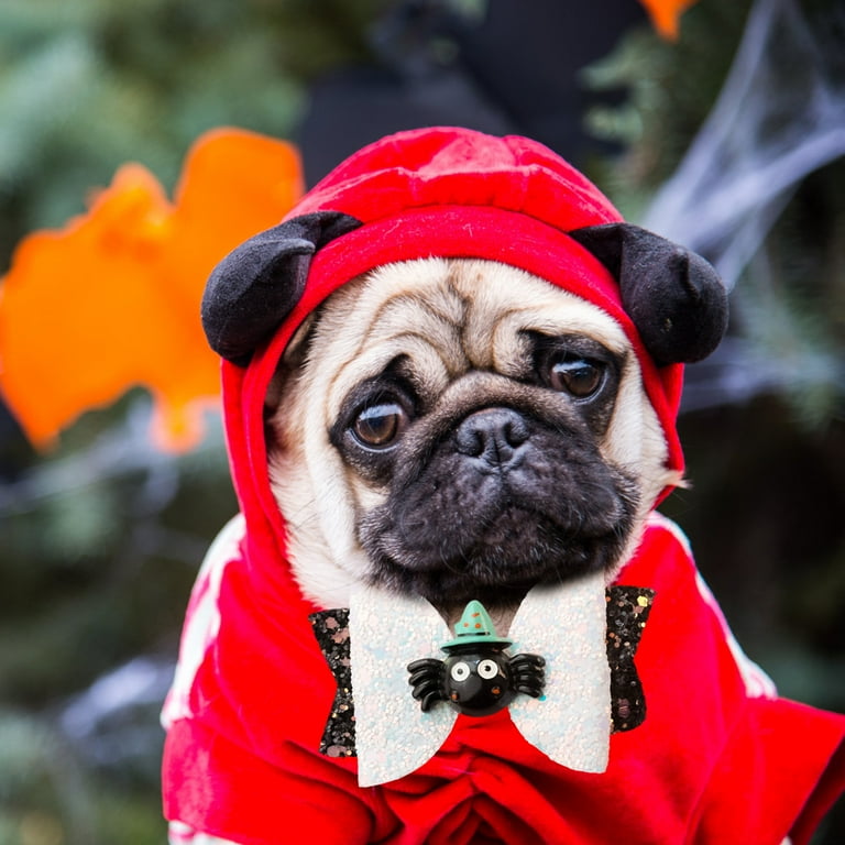Cat Dog Hair Accessories Halloween Pet Cat Dog Bow Tie Pet
