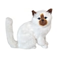 thumbnail image 3 of Figurado de gato realista Fotos Fotos de juguete Lindo Réplica de mascotas de animales de peluche decorativo para sala de estar en el hogar Estilo E, 3 of 10