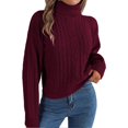 thumbnail image 1 of Pull, Pull Col Roulé pour Femmes, Tricot Câble, Pull, 1 of 4
