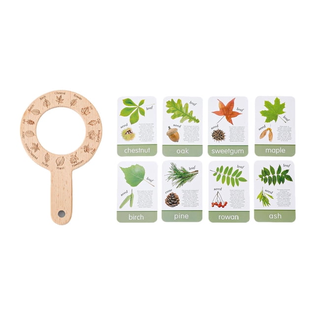 Tarjetas didácticas sobre plantas,Tarjetas didácticas divertidas de plantas con lupa,Foto realista de aula ligera,Juguetes educativos portátiles,juegos de actividades de
