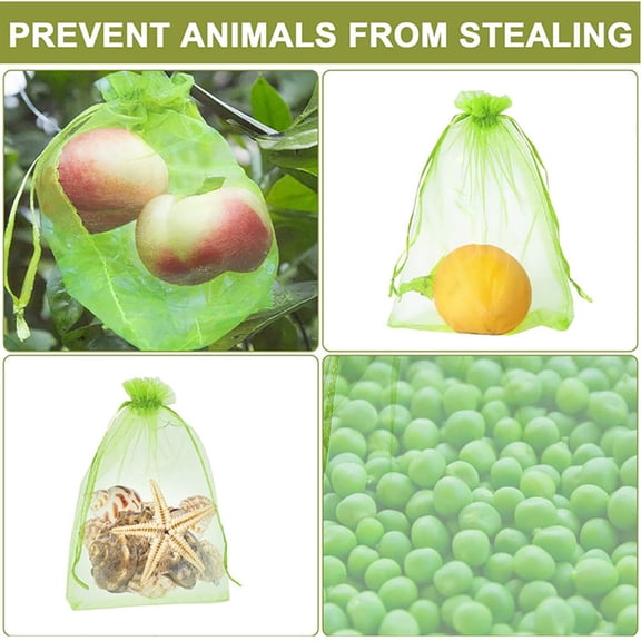 Rkxzt Bird-Proof Mesh Bags,Fruit Protector Bags 100 Count Drawstring Mesh Bags for Trees Plants Pest Protection,Grafting Tool|Polyester,Green