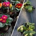thumbnail image 5 of Barrera antimaleza de calidad profesional, bloqueador de maleza de alta resistencia para jardinería, tela paisajística transpirable superpermeable y de alta resistencia a la tracción, uso versátil en, 5 of 5