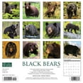 thumbnail image 2 of Black Bears 2023 Wall Calendar, 2 of 4