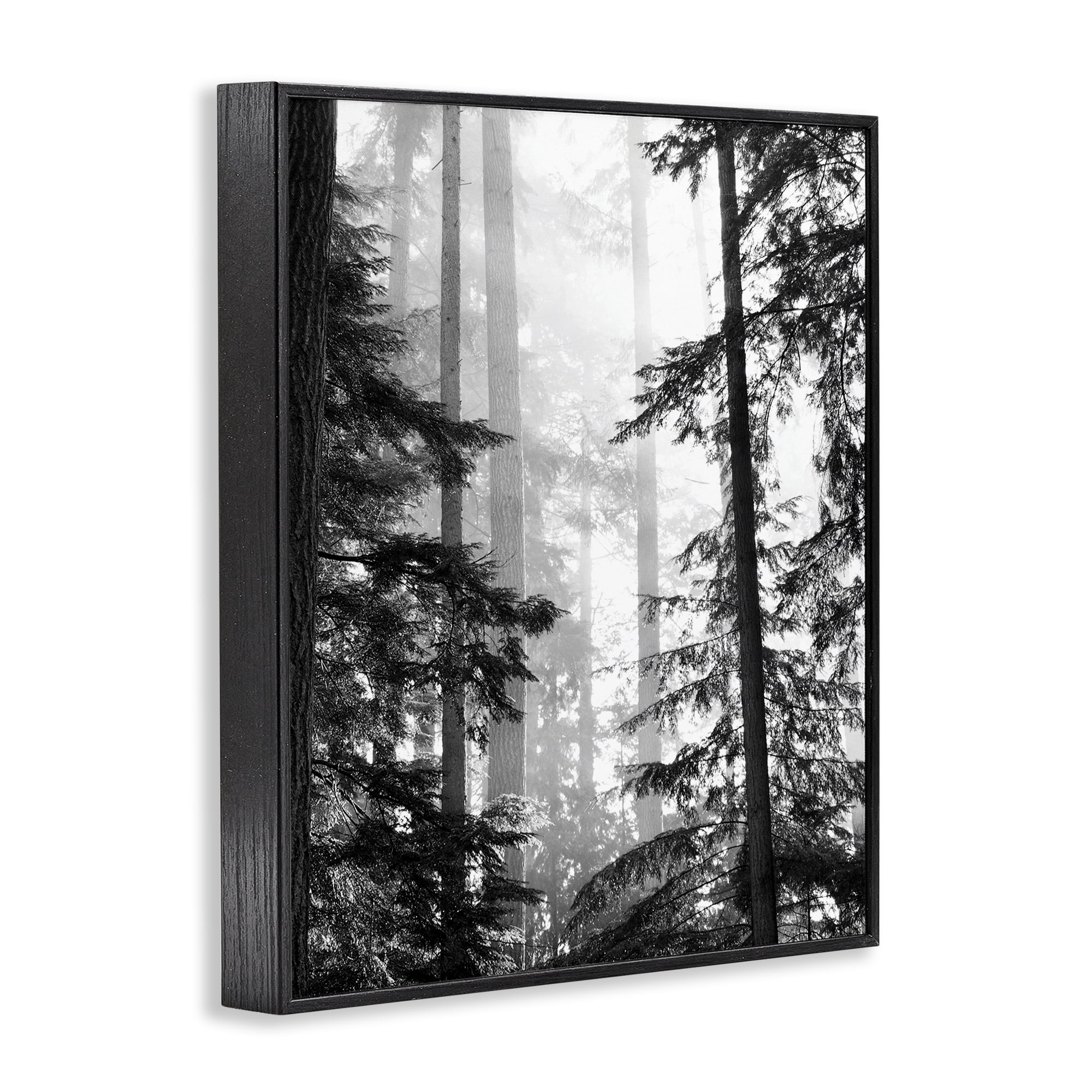 Forest Light Shining Through Tall Trees Landscape Photography Black Framed Giclee Art, 16 x 20