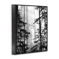 thumbnail image 2 of Forest Light Shining Through Tall Trees Landscape Photography Black Framed Giclee Art, 11 x 14, 2 of 7