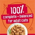 thumbnail image 5 of Purina Friskies Prime Filets, Chicken and Tuna Dinner in Gravy, Wet Cat Food, 5.5 oz Can, 5 of 10