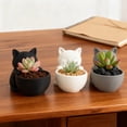 thumbnail image 4 of Joernso Mini Kitten Flower Pot Succulents Planter Cute Cat Plant Pot Home Desktop Decoration Kitty Planter Gift for Cat Lovers, 4 of 8