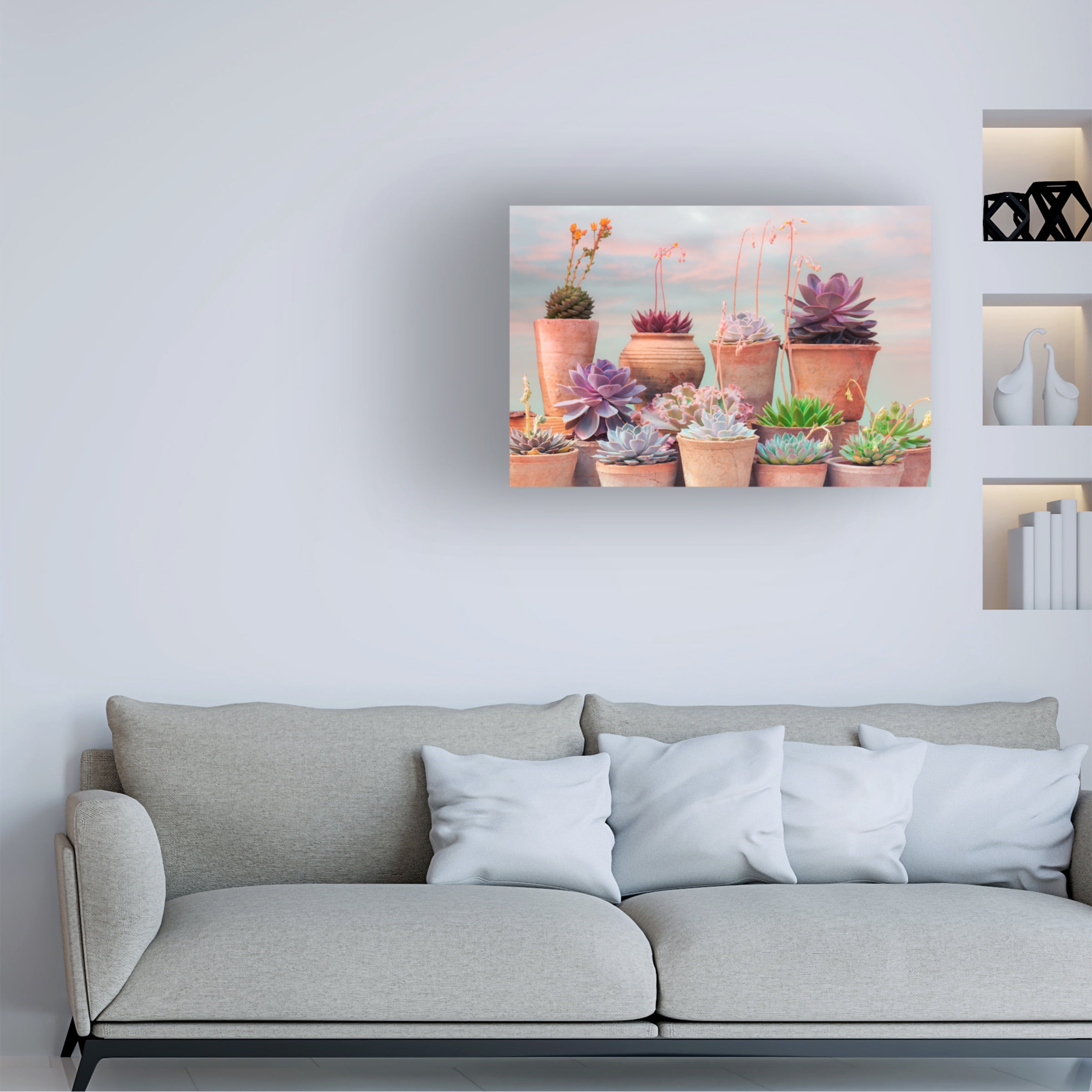 Cora Niele 'Succulent Window III' Canvas Art