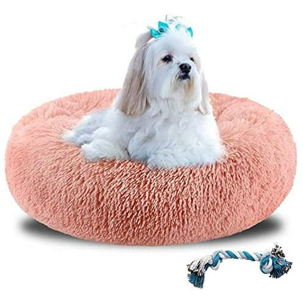 Walmart canada cheap dog bed