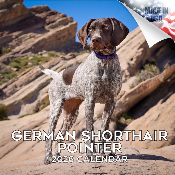 2025 2026 German Shorthair Pointer Calendar - Dog Breed Monthly Wall Calendar - 12 x 24 Open - Thick No-Bleed Paper - Giftable - Academic Teacher's Planner Calendar Organizing & Planning - Made in USA