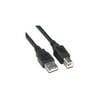 10 Ft 3m USB 2.0 Cable a to B Printer for Pc High Speed [Electronics]