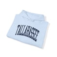 thumbnail image 4 of Tallahassee Florida Trip Moving Vacation Hoodie, Gifts, Hooded Sweatshirt, 4 of 4