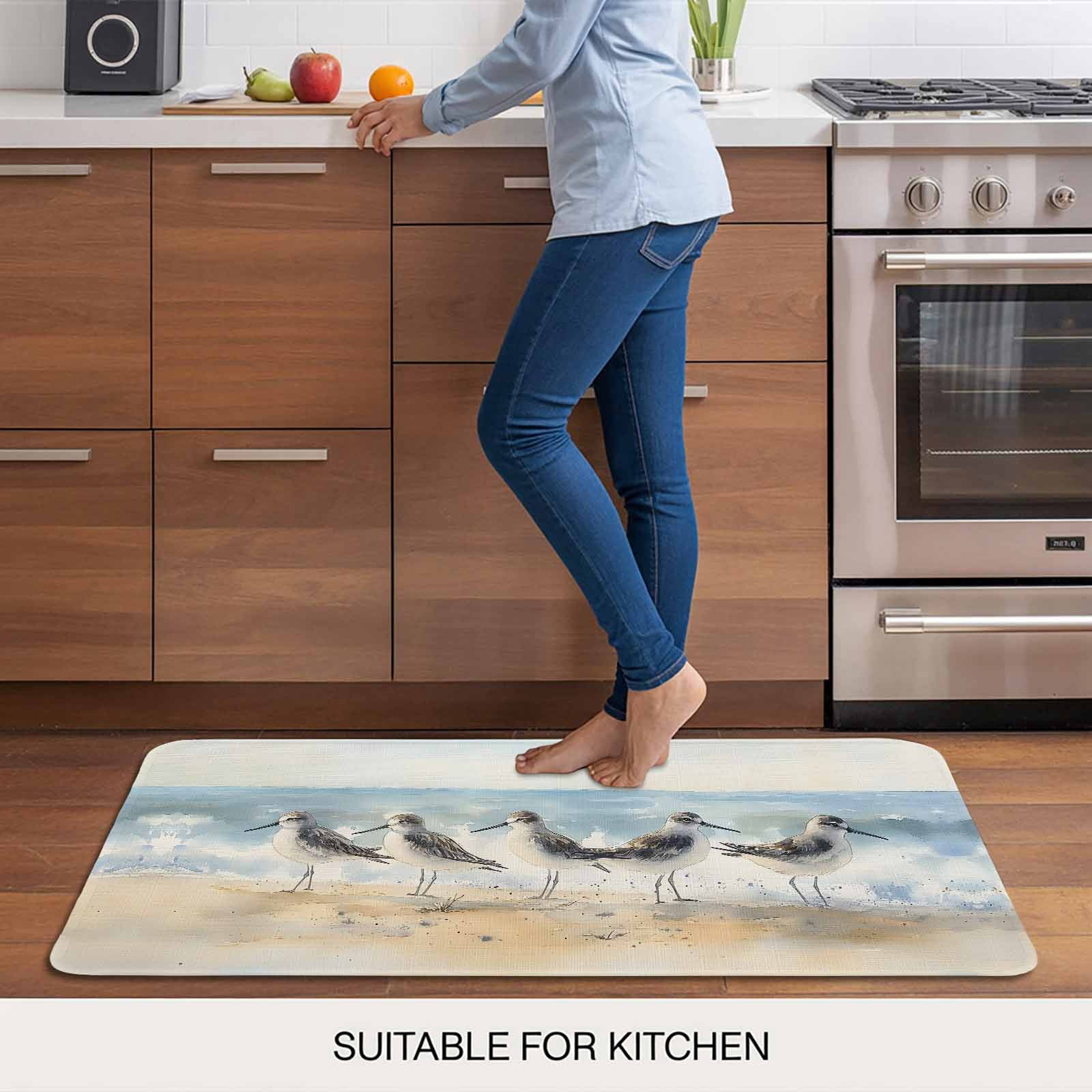 Coastal Seagull Doormat Outdoor Entrance 16"x24", Blue Ocean Summer Birds Oil Painted Absorb Moisture Dirt Door Mats, Non-Slip Rubber Backing Floor Mats Indoor, Low-Profile Front Door Rugs