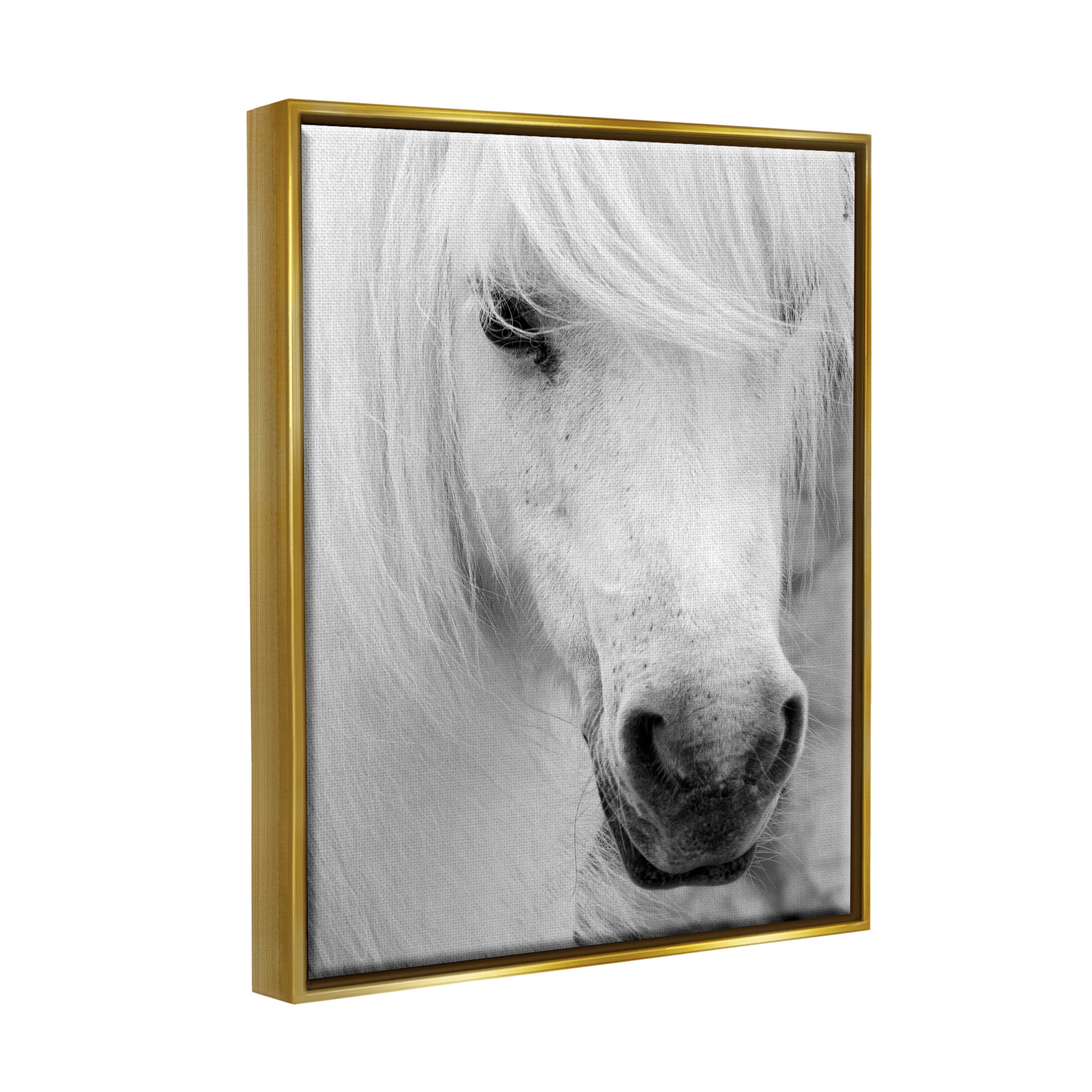 Elegant White Horse Stallion Animals & Insects Photograph Metallic Gold Framed Art Print Wall Art