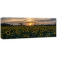 thumbnail image 2 of Trademark Fine Art "Sunset Sunflowers 2" Canvas Art by Kurt Shaffer, 2 of 3