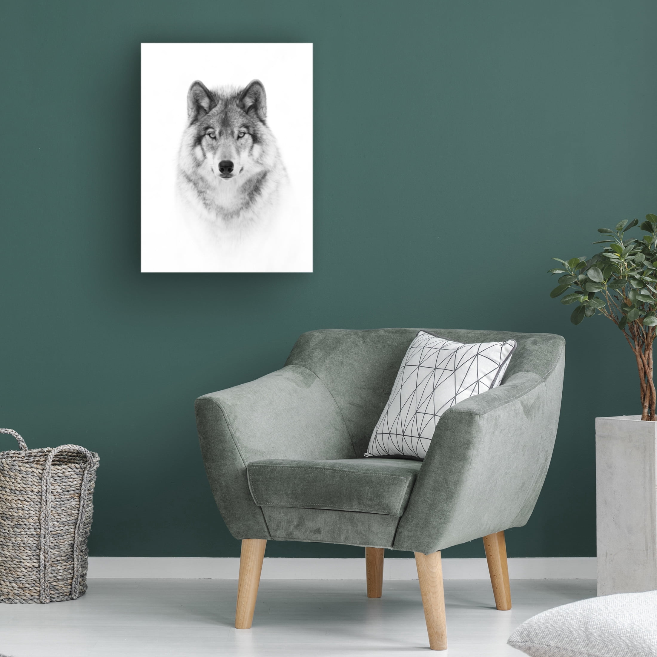 Jim Cumming 'Portrait Of A Timber Wolf' Canvas Art - 35 x 47 Inches