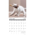 thumbnail image 3 of Cat Rules 2023 Wall Calendar (Other), 3 of 4