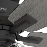 Hunter 52 inch Indoor Ceiling Fan with LED Lights and Remote Control - Black Ceiling Fan, Standard Mount, 5 Blades, For Bedroom, Living Room, or Kitchen - Gatlinburg 52429, Matte Black
