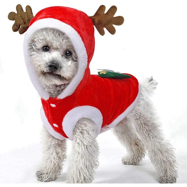 Disfraz navideño para perros, ropa para perros pequeños y gatos medianos (M)