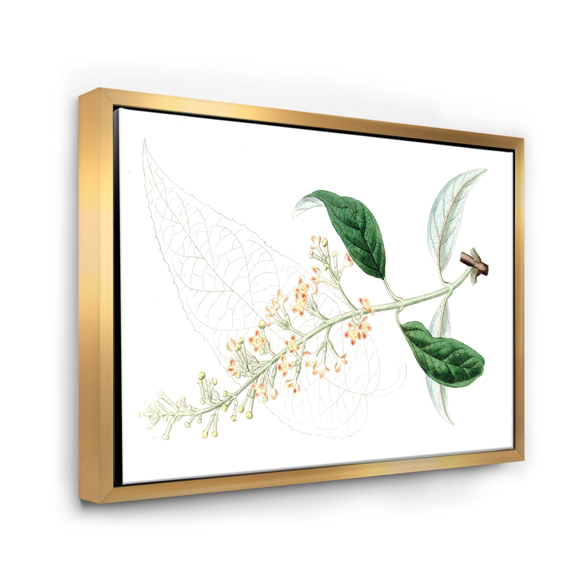 Designart 'Ancient Plant Life XXVII' Traditional Framed Canvas Wall Art Print