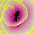 thumbnail image 4 of Simulación Coral Decoración Fluorescente Pecera Plantas Decoración para Decoración de Paisaje, 4 of 8