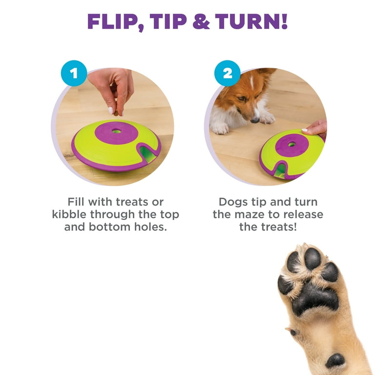 Outward Hound Dog Treat Maze Puzzle, Level 2 Intermediate