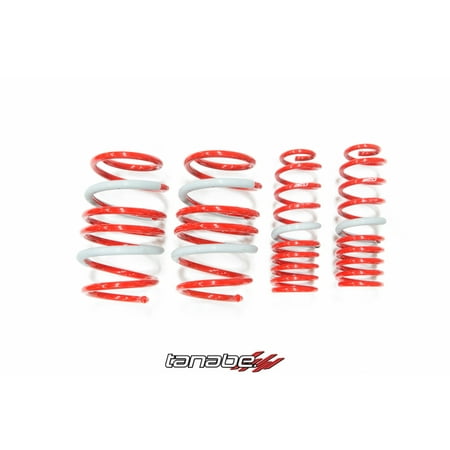 Tanabe Df210 Lowering Springs - Tanabe DF210 Springs for 07-11 Nissan Sentra SER Spec V - TDF134