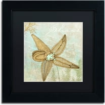 Trademark Fine Art "Turquoise Beach V" Canvas Art by Color Bakery Black Matte, Black Frame