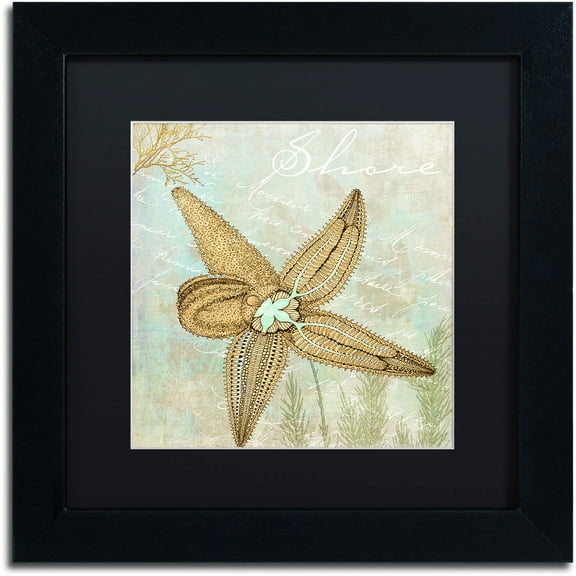 Trademark Fine Art "Turquoise Beach V" Canvas Art by Color Bakery Black Matte, Black Frame