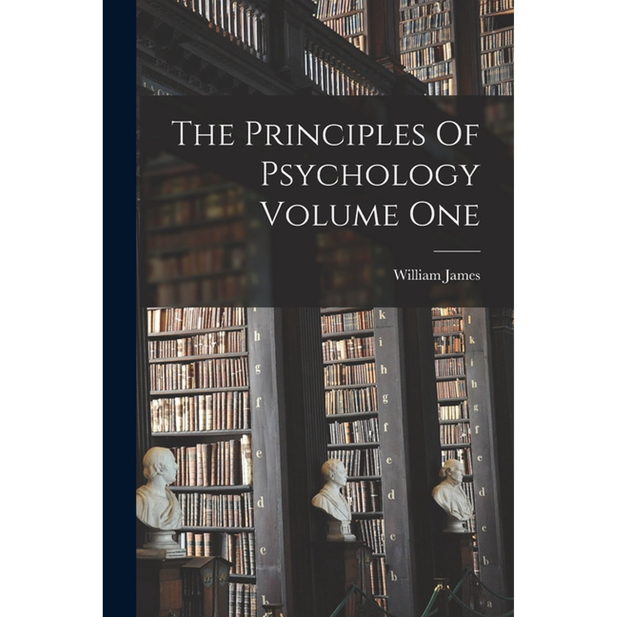 The Principles Of Psychology Volume One (Paperback)