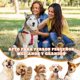 thumbnail image 4 of Oso resistente e indestructible, juguete para perros indestructible y ansioso, juguetes interactivos para perros, juguete masticable chirriante Petsboro Robust Bear para perros grandes y cachorros (az, 4 of 5
