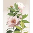 thumbnail image 3 of House Fenway 15x18 Black Modern Framed Museum Art Print Titled - Washed Peonies, 3 of 5
