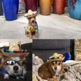 thumbnail image 4 of Pet Straw Hat Funny Mexican Sombrero Cap Party Decoration, Pet Hat for Small Pet/Puppy/Cat, 4 of 6