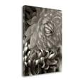thumbnail image 2 of Tangletown Fine Art 'Florison - 10' Graphic Art Print on Wrapped Canvas, 2 of 2