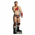 thumbnail image 1 of Advanced Graphics 1328 Sheamus - WWE Cardboard Cutout, 1 of 3