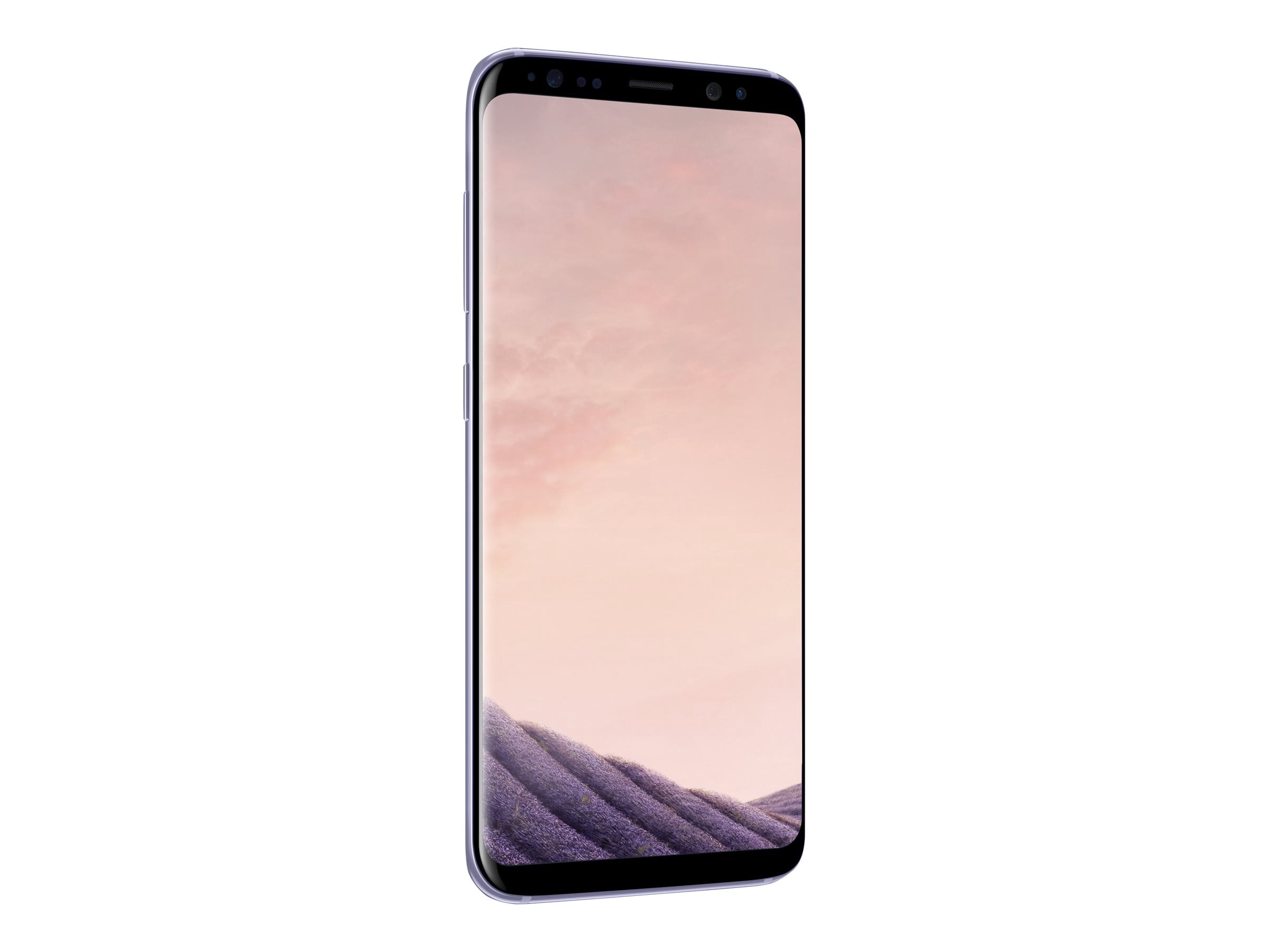 Samsung Galaxy S8 - 4G smartphone - RAM 4 GB / Internal Memory 64