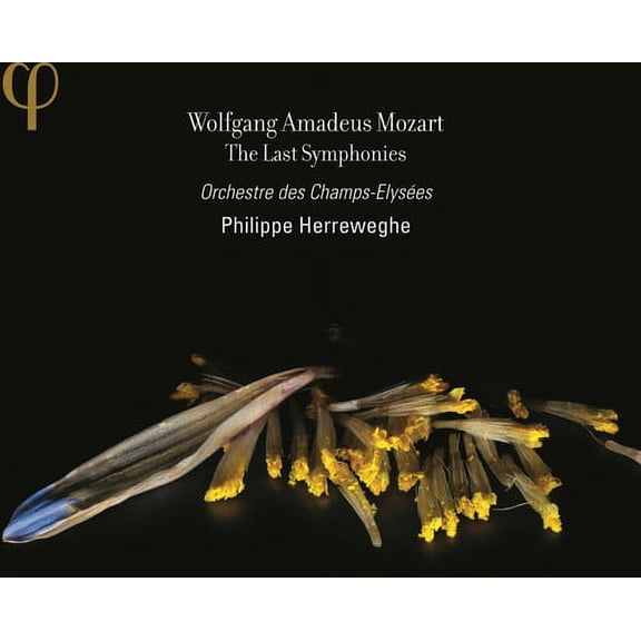 Philippe Herreweghe - Last Symphonies - Music & Performance - CD