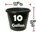thumbnail image 2 of 10 Gallon Nursery Pots: Heavy Duty Black Plastic - Indoor Outdoor (5pk), 2 of 4