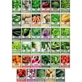 thumbnail image 4 of Ultimate Survival Seed Kit: 140 Varieties for Self-Sufficient Gardens  Food Storage, 4 of 6