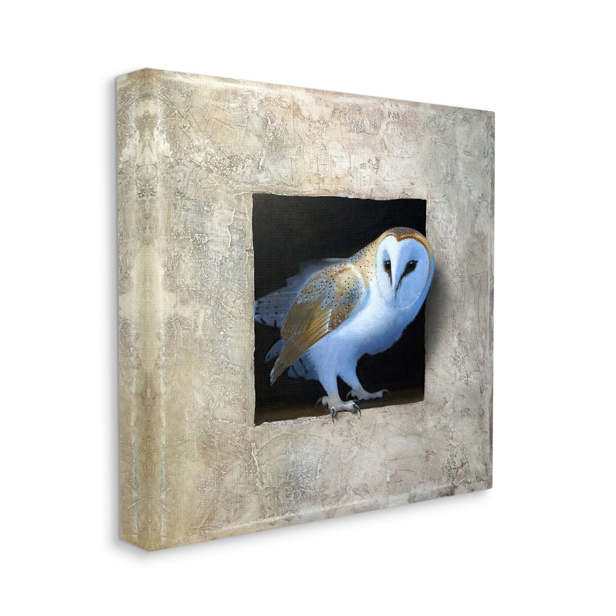 Stupell Industries Mysterious Barn Owl Peering From Darkness Painting Painting Gallery Wrapped Canvas Print Wall Art, Design by Alan Weston