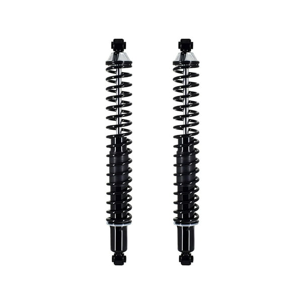 Pair of 2 Rear Complete Shock Absorber Kit For 1994-2001 Dodge RAM 1500 RWD