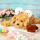 thumbnail image 4 of Perro de peluche Skylety Golden Retriever con cachorros, 5 unidades, 4 of 7